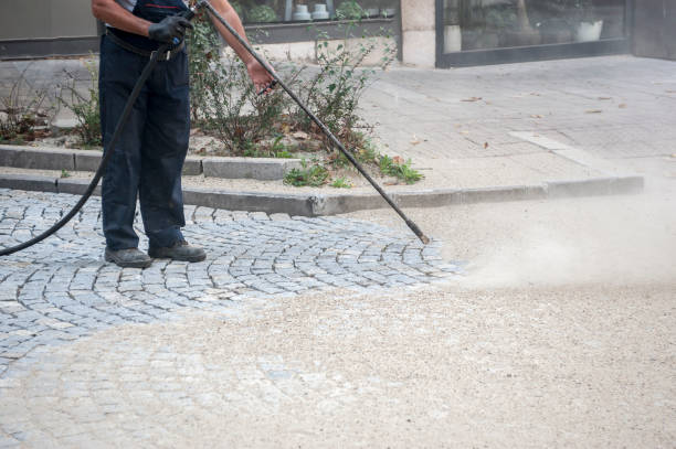 Best Gutter Cleaning  in Lynchburg, MS