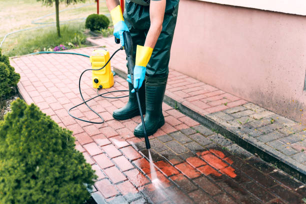 Best Animal Enclosure Cleaning  in Lynchburg, MS